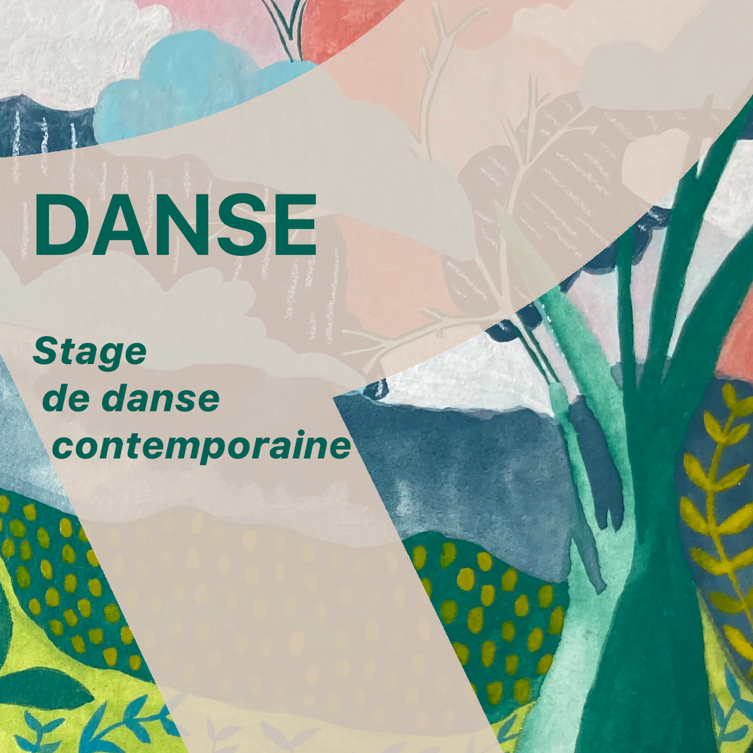 novembre 2026 stage de danse